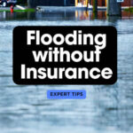 Financially Facing a Flood without Insurance