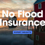 Life without Flood Insurance: Expert Tips