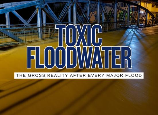 💧 What’s in the Water?