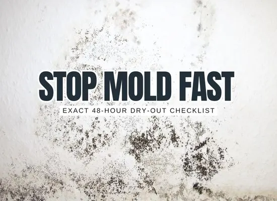 The 48-Hour Mold Plan (2026 Edition): Exact Steps from Water Out to Dry-Out