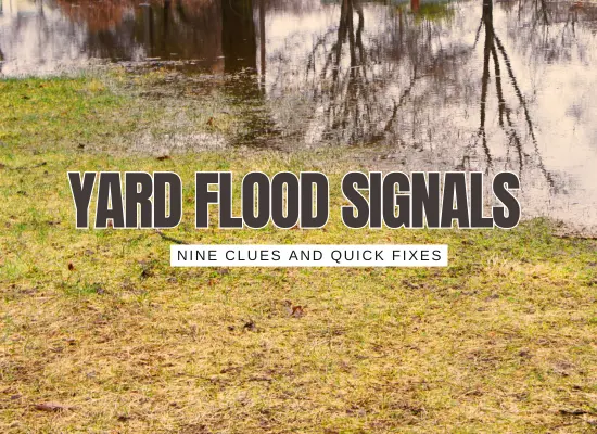9 Signs Your Yard Is Secretly Raising Flood Risk